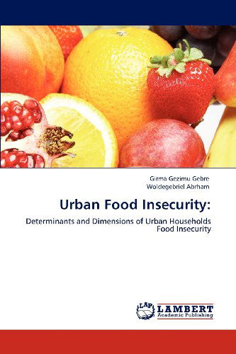 Cover for Woldegebriel Abrham · Urban Food Insecurity:: Determinants and Dimensions of Urban Households Food Insecurity (Paperback Book) (2012)
