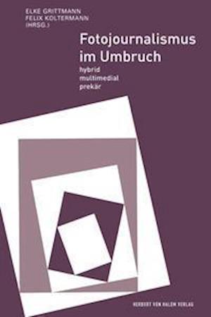 Cover for Elke Grittmann · Fotojournalismus im Umbruch (Paperback Book) (2022)