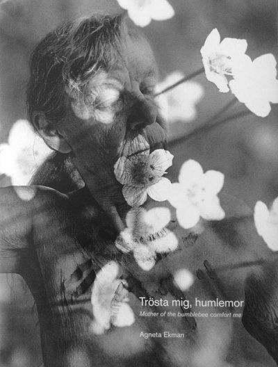 Cover for Jonas Gren · Trösta mig humlemor / Mother of bumblebee comfort me (Inbunden Bok) (2019)