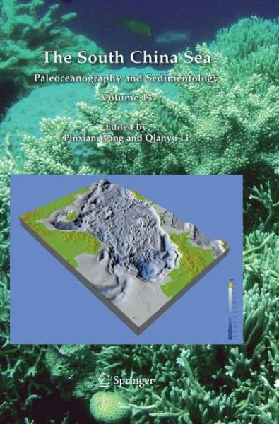 Pinxian Wang · The South China Sea: Paleoceanography and Sedimentology - Developments in Paleoenvironmental Research (Paperback Book) [2009 edition] (2014)