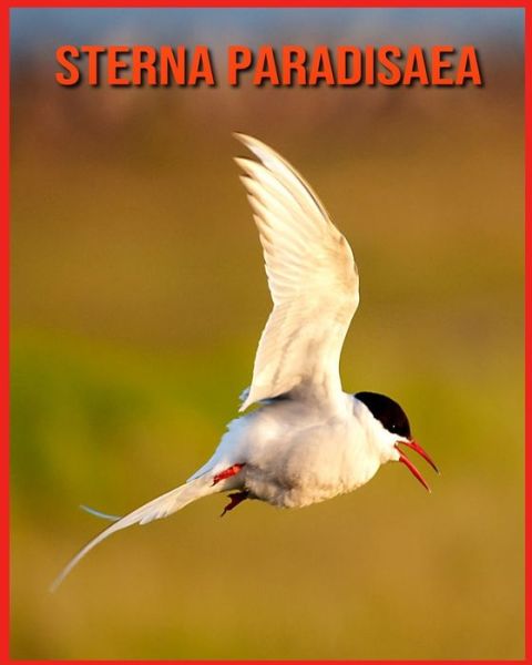 Cover for Linda Davis · Sterna Paradisaea: Fatti di apprendimento divertenti sui Sterna Paradisaea (Paperback Book) (2021)