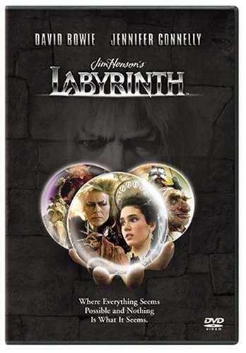 Cover for DVD · Labyrinth (DVD) [Widescreen edition] (1999)