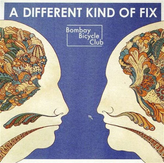 Cover for Bombay Bicycle Club · A Different Kind Of Fix (CD) (2011)