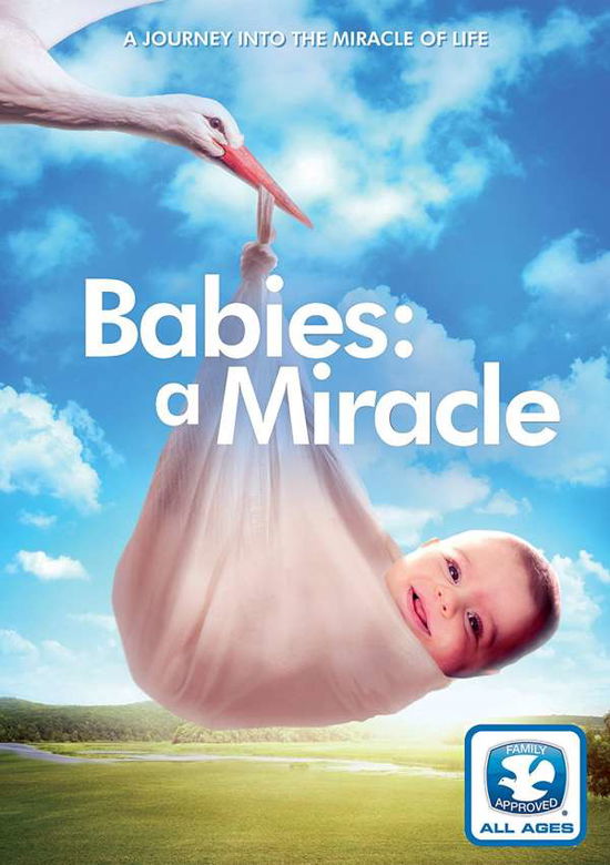 Cover for DVD · Babies: a Miracle (DVD) (2017)