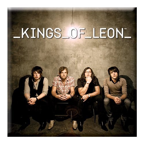 Cover for Kings of Leon · Kings of Leon Fridge Magnet: Band Photo (Magnet) (2014)