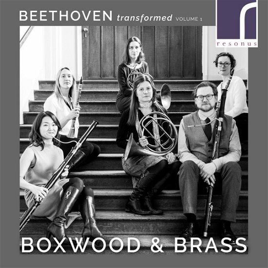 Cover for Boxwood &amp; Brass · Beethoven Transformed Vol.1 (CD) (2019)