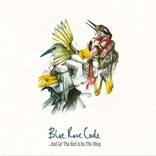 Cover for Blue Rose Code · And Lo! The Bird Is On The Wing (CD) (2016)