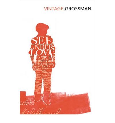 See Under Love - David Grossman - Livros - Vintage Publishing - 9780099541592 - 2 de setembro de 2010
