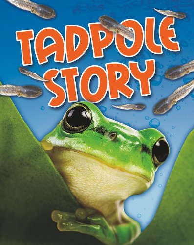 Cover for Angela Royston · Tadpole Story (Crabtree Connections) (Hardcover Book) (2011)