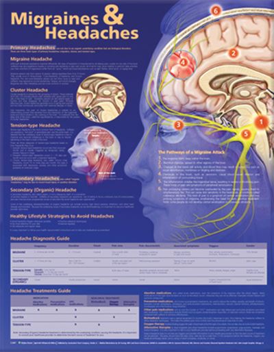 Cover for Anatomical Chart Com · Migraines and Headaches Anatomical Chart (Kartor) (2008)