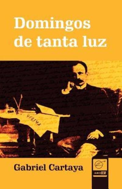 Cover for Ivan a Shulman · Domingos de Tanta Luz (Paperback Book) (2019)