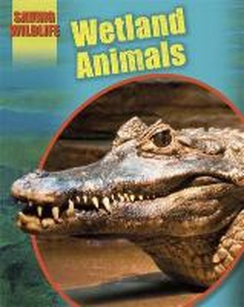 Cover for Sonya Newland · Saving Wildlife: Wetland Animals - Saving Wildlife (Paperback Book) (2014)
