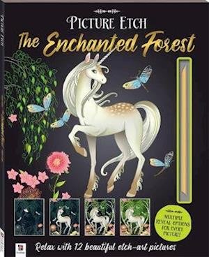 Cover for Hinkler Pty Ltd · Picture Etch: The Enchanted Forest - Picture Etch (Paperback Bog) (2020)