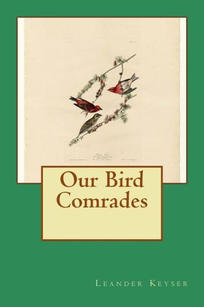 Cover for Leander S Keyser · Our Bird Comrades (Pocketbok) (2014)