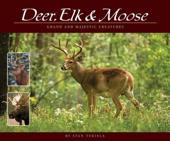 Cover for Stan Tekiela · Deer, Elk &amp; Moose: Grand and Majestic Creatures - Wildlife Appreciation (Pocketbok) (2015)