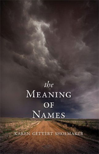 The Meaning of Names - Karen Shoemaker - Books - Red Hen Press - 9781597099592 - April 17, 2014