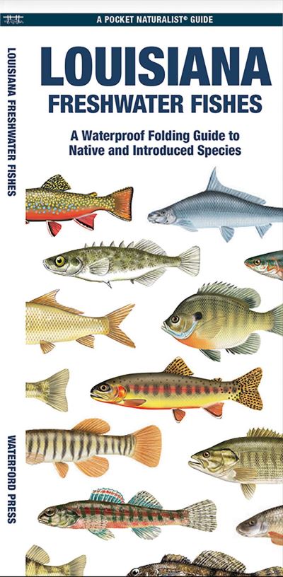 Cover for Waterford Press · Louisiana Freshwater Fishes: A Waterproof Folding Guide to Native and Introduced Species - Pocket Naturalist Guide (Pamflet) (2024)