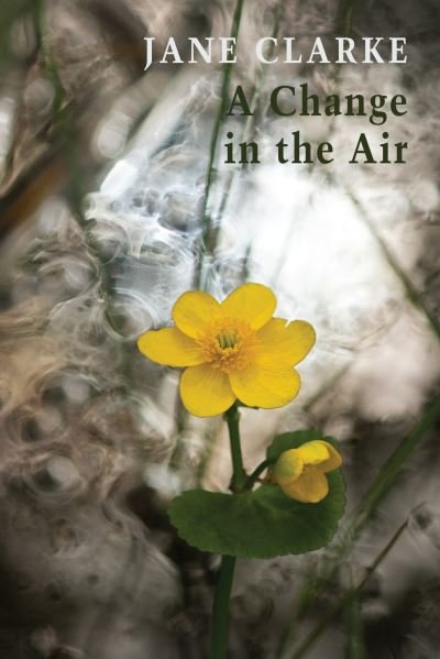 Cover for Jane Clarke · A Change in the Air (Pocketbok) (2023)