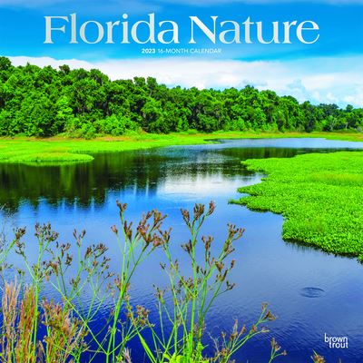 Cover for Browntrout · Florida Nature 2023 Square Foil (Calendar) (2022)