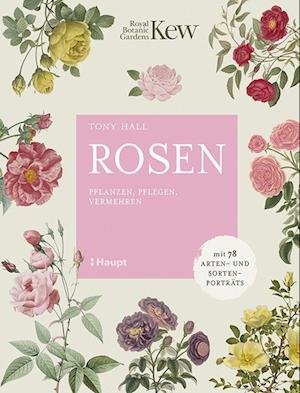 Cover for Tony Hall · Rosen (Hardcover Book) (2022)