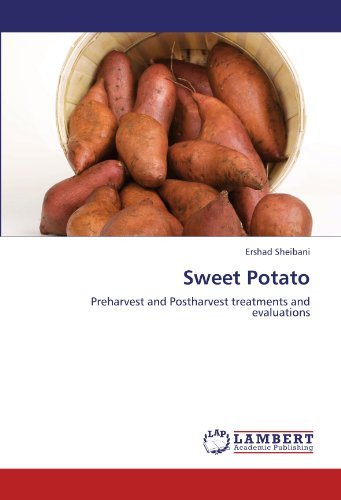 Cover for Ershad Sheibani · Sweet Potato: Preharvest and Postharvest Treatments and Evaluations (Paperback Bog) (2012)