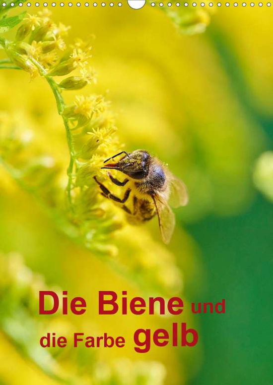 Die Biene und die Farbe gelb (W - Bangert - Books -  - 9783672141592 - 