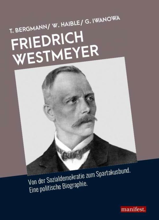 Cover for Bergmann · Friedrich Westmeyer (Book)