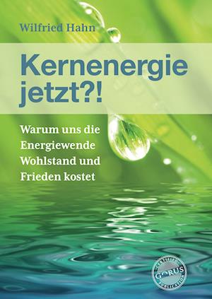 Cover for Wilfried Hahn · Kernenergie jetzt?! (Book) (2023)