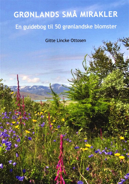 Cover for Gitte Lincke Ottosen · Grønlands små mirakler (Hæftet bog) [1. udgave] (2018)
