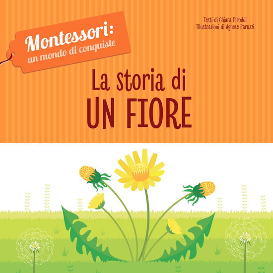 Cover for Chiara Piroddi · La Storia Di Un Fiore. Montessori: Un Mondo Di Conquiste. Ediz. A Colori (Book)