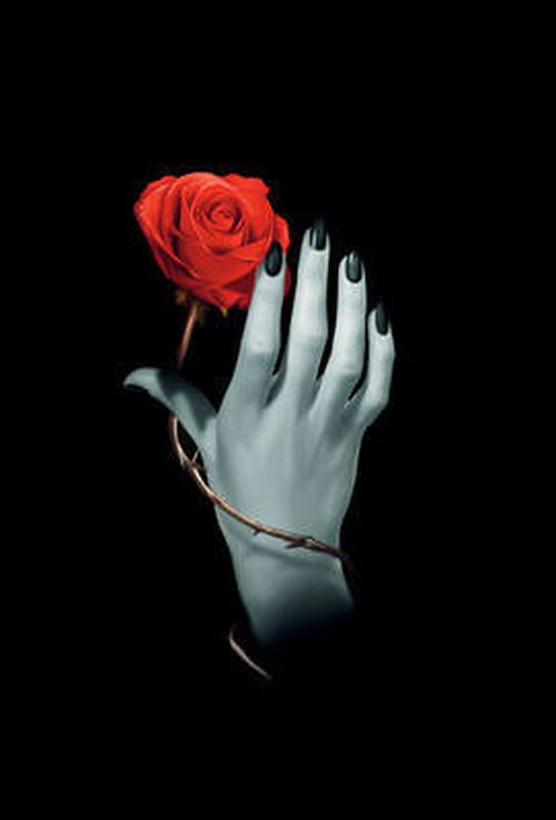 Cover for Lo Scarabeo · Rose Hand (Orakel-Karten) (2011)