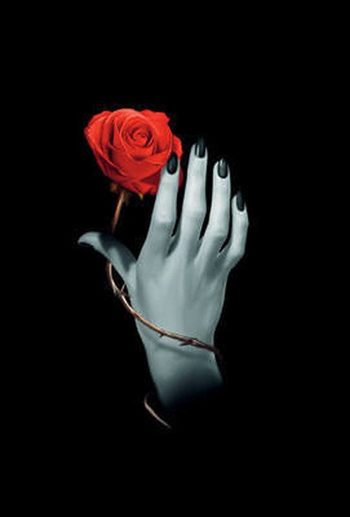 Cover for Lo Scarabeo · Rose Hand (Cards) (2011)