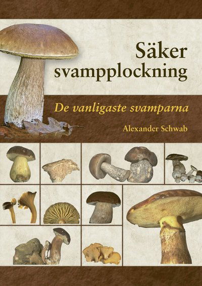 Säker svampplockning : de vanligaste svamparna - Alexander Schwab - Książki - Stevali - 9789188639592 - 23 kwietnia 2020