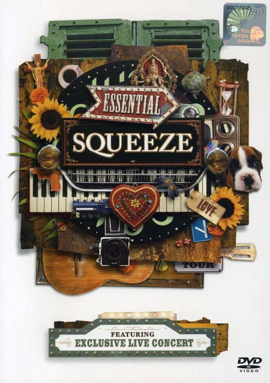 Cover for Squeeze · Essential Squeeze (DVD) (2007)