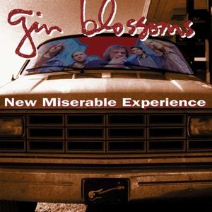 New Miserable Experience - Gin Blossoms - Música - A&M - 0602557293593 - 31 de março de 2017