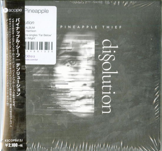 Dissolution - The Pineapple Thief - Musik - ULTRA VYBE CO. - 4526180461593 - 30. September 2018