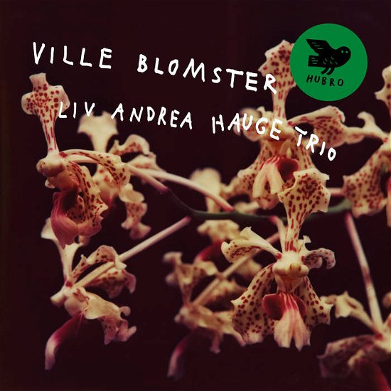 Ville Blomster - Liv Andrea Hauge Trio - Musik - HUBRO - 7033661036593 - 1. März 2024