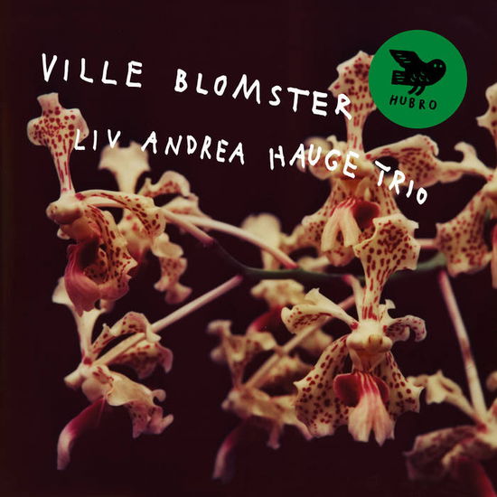 Cover for Liv Andrea Hauge Trio · Ville Blomster (LP) (2024)