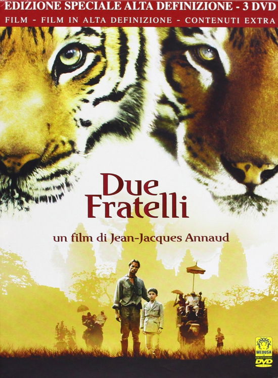 Due Fratelli (Dvd Wmv-Hd) Box Set Dvd Italian Import - Leroy - Movies -  - 8010020026593 - 