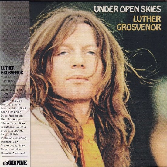 Cover for Luther Grosvenor · Under Open Skies (CD) (2021)
