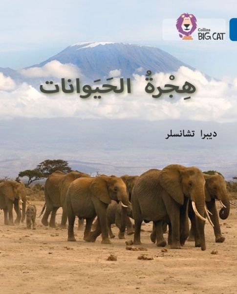 Cover for Deborah Chancellor · Animal Migration: Level 13 - Collins Big Cat Arabic Reading Programme (Paperback Book) (2015)