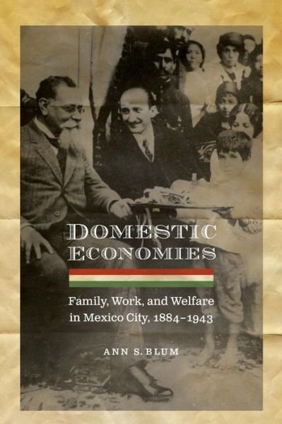 Cover for Ann S. Blum · Domestic Economies: Family, Work, and Welfare in Mexico City, 1884-1943 - Engendering Latin America (Paperback Book) (2010)