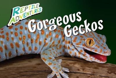 Cover for Rebecca Johnson · Gorgeous Geckos (Hardcover Book) (2017)