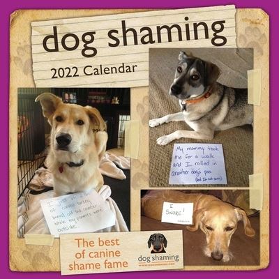 Cover for Pascale Lemire · Dog Shaming 2022 Wall Calendar (Calendar) (2021)