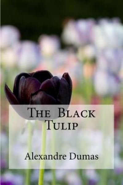 The Black Tulip - Alexandre Dumas - Books - Createspace Independent Publishing Platf - 9781533182593 - May 10, 2016