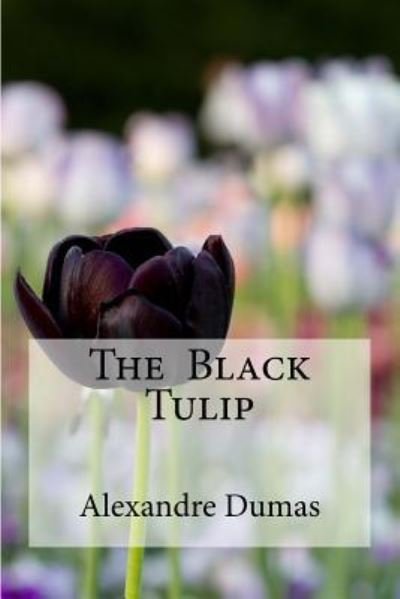 The Black Tulip - Alexandre Dumas - Libros - Createspace Independent Publishing Platf - 9781533182593 - 10 de mayo de 2016