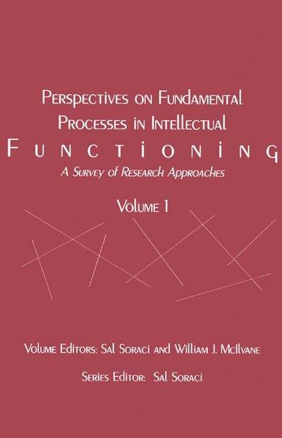 Cover for Sal Soraci · Perspectives on Fundamental Processes in Intellectual Functioning: A Survey of Research Approaches (Taschenbuch) (1998)