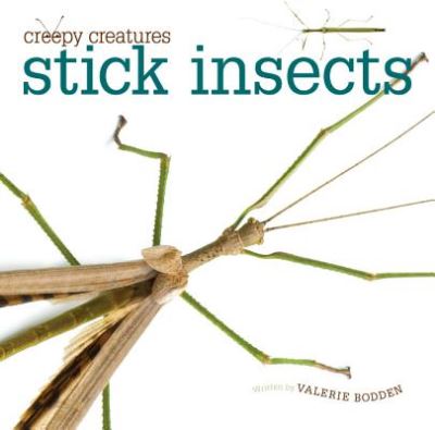 Cover for Valerie Bodden · Stick Insects (Creepy Creatures (Creative Education)) (Hardcover Book) (2014)