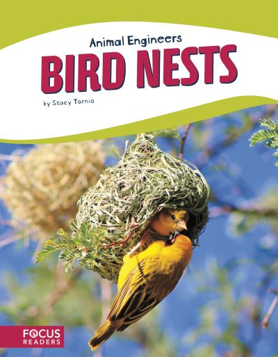 Cover for Stacy Tornio · Bird Nests (Hardcover Book) (2018)