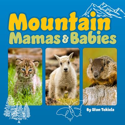 Mountain Mamas and Babies - Wildlife Families - Stan Tekiela - Books - Adventure Publications, Incorporated - 9781647553593 - May 9, 2024